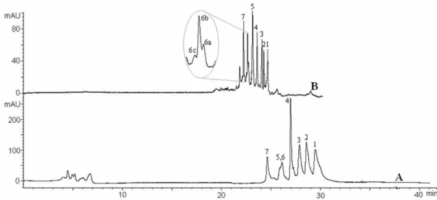 Figure 4: Comparison of the separation of protein  mixture 1 (pI 5.65-8.3) with the two CIEF systems