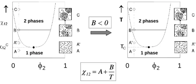 Figure  10 :  Extension  phénoménologique  de  la  théorie  de  Flory-Huggins  aux  mélanges 