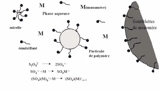 Figure 1 - Schéma montrant l'organisation des polymères au début du processus de synthèse