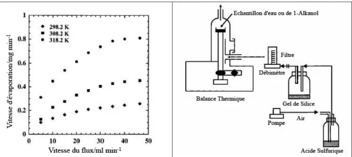 Figure 13 - A gauche, vitesse d'évaporation en fonction du flux d'air, à droite, schéma du montag de Rusdi  et al 