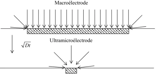 Figure II-7 : représentation schématique de la diffusion d’une espèce au niveau d’une macroélectrode (en 
