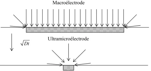 Figure II-7 : représentation schématique de la diffusion d’une espèce au niveau d’une macroélectrode (en 