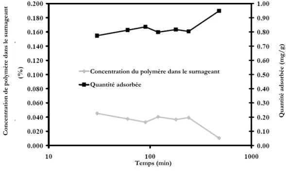 Figure 50 : Cinétique d'adsorption de 2000 ppm d'un polymère PMAA / POE sur un ciment de type  CEM I 42.5 à E/C=0.5  [27] 