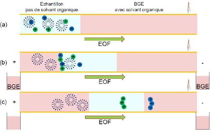 Figure  I-6 :  Schéma  de  principe  de  la  préconcentration  par  « Micelle  to  Solvent  Stacking »