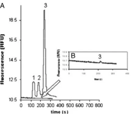 Figure I- 24 : Electrochromatogrammes d’un mélange de fluoranthène et de benzo(a)anthracène à  3,3 ng.µL -1  et de benzo(k)fluoranthène à 5 ng.µL -1  obtenus après une injection normale (A), ou après 