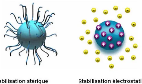 Fig. II.6 – Deux mod` eles de stabilisations des collo¨ıdes : par effet st´erique et par la charge
