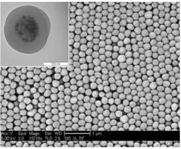 Fig. II.13 – Nanoparticules magn´ etiques encapsul´ ees avec de PMMA