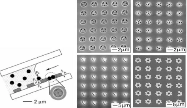 Fig. II.22 – Sch´ ema du dispositif de lithographie pour assemblage de microsph` ere ( ` a gauche) et diff´ erents types de structures r´ ealis´ ees ` a l’aide de lithographie ( droite)