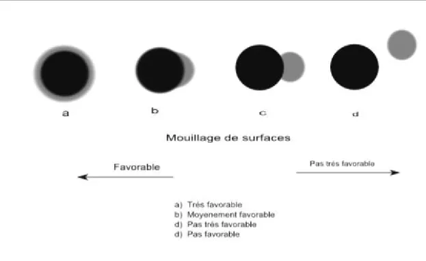Fig. II.23 – Sch´ ema de Mouillage des particules avec un monom` ere. II.6.4 Mouillage de microsph` eres et polym´ erisation