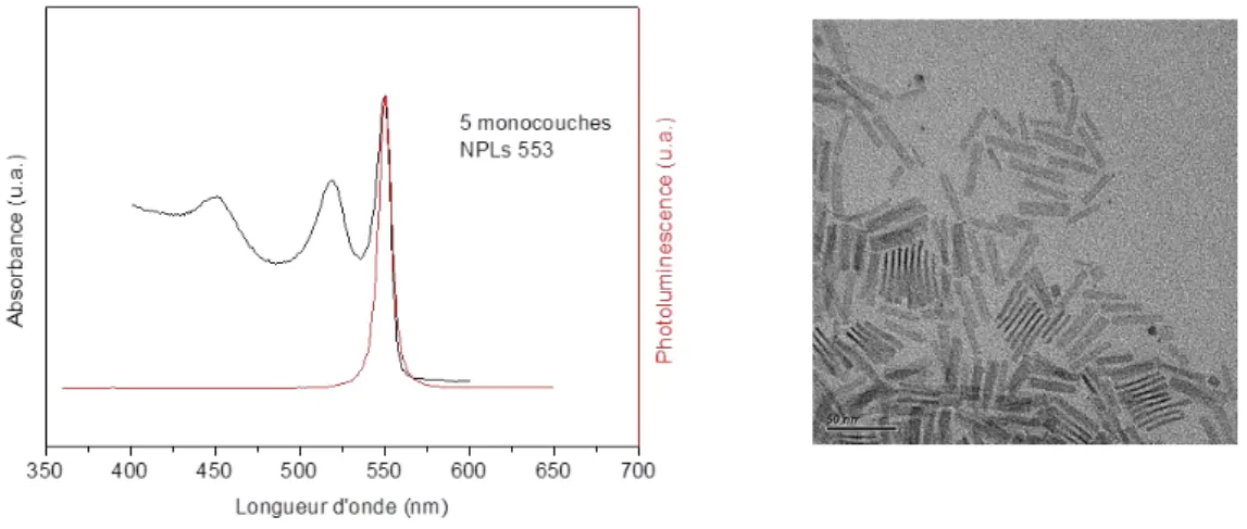Figure 2-7 : Spectres d'absorption et d'émission de fluorescence de NPLs 553 (5 monocouches) et image de  MET