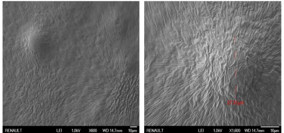 FIGURE 2.4: SEM section observations of the "liquidly nitro- nitro-genely" cut material.