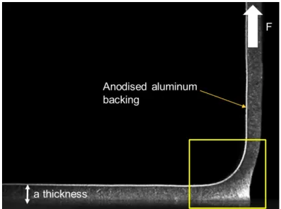 FIGURE 2.17: Foam PSA with an aluminum backing foil peeled at 90 from a glass substrate