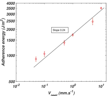 FIGURE 3.6: Evolution of the adhesion energy with respect to the peeling velocity. Samples are peeled on glass substrates (see