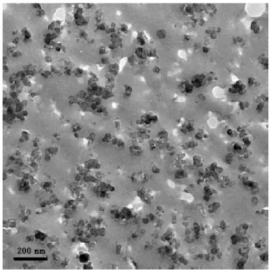 Figure 3-5 TEM images of CB aggregate in rubber. Re printed from 7