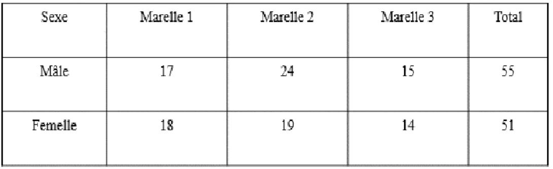 Tableau 1: Répartition des adultes épinoches à trois épines en fonction de leur sexe et de leur  marelle d’origine