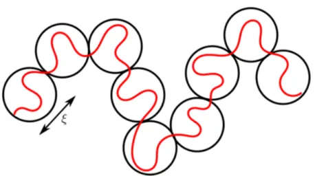 Figure 4.8 – Blob picture: the chain, in red, can be seen as a chain of blobs, black circles, of size ξ.