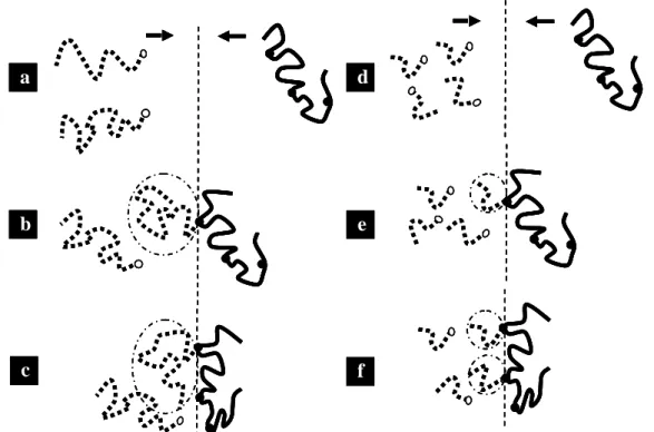 Figure 1-2 : Représentations schématiques du greffage de longues (a,b,c) et de petites  (d,e,f) chaînes sur un squelette tri-fonctionnalisé 