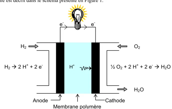 Figure 1 : Principe de fonctionnement d'une pile à combustible de type PEMFC. 