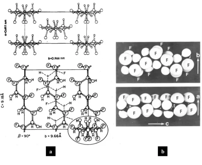 Figure II.4: a- Maille élémentaire de la phase γ du PVDF selon Weinhold et al ([21]). b-  Vues de modèles moléculaires de la chaîne de PVDF dans sa conformation de la phase γ  ([2])