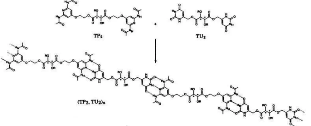 Figure I.17. Self-assembly of the polymolecular supramolecular species (TP 2 , TU 2 ) n  from the chiral components 