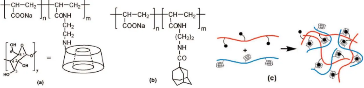 Figure I.21. Chemical and schematic structures of (a) poly(acrylic acid) (PAA) functionalized with  β - -cyclodextrins, (b) PAA functionalized with adamantyls, and (c) the network formed in aqueous solution  