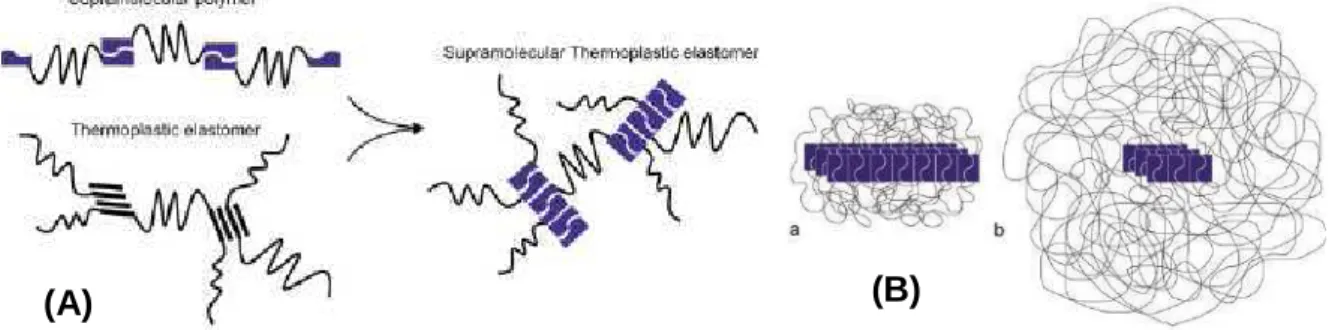 Figure I.28. From reference 107d: (A) schematic overview of the relation between supramolecular polymers, 