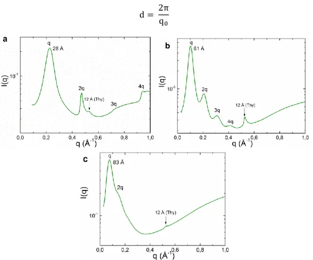 Figure 27. SAXS de Thy-PPG-Thy de (a) 460 g/mol, (b) 2050 g/mol et (c) 4000 g/mol. Le pic  à 12 Å est caractéristique des cristaux de thymine