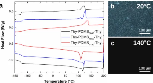 Figure 31. a) DSC de Thy-PDMS-Thy pour 1130, 1660 et 3040 g/mol à 10°C/min (exo down)