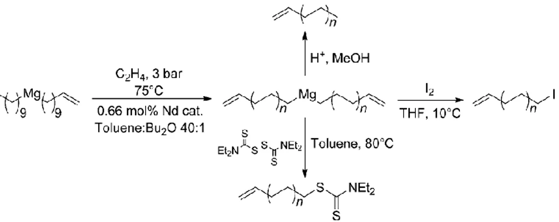 Figure 49. Produits secondaires obtenus par β-élimination en présence d’un agent de transfert  fonctionnel bis(exo-alkenyl) magnésium