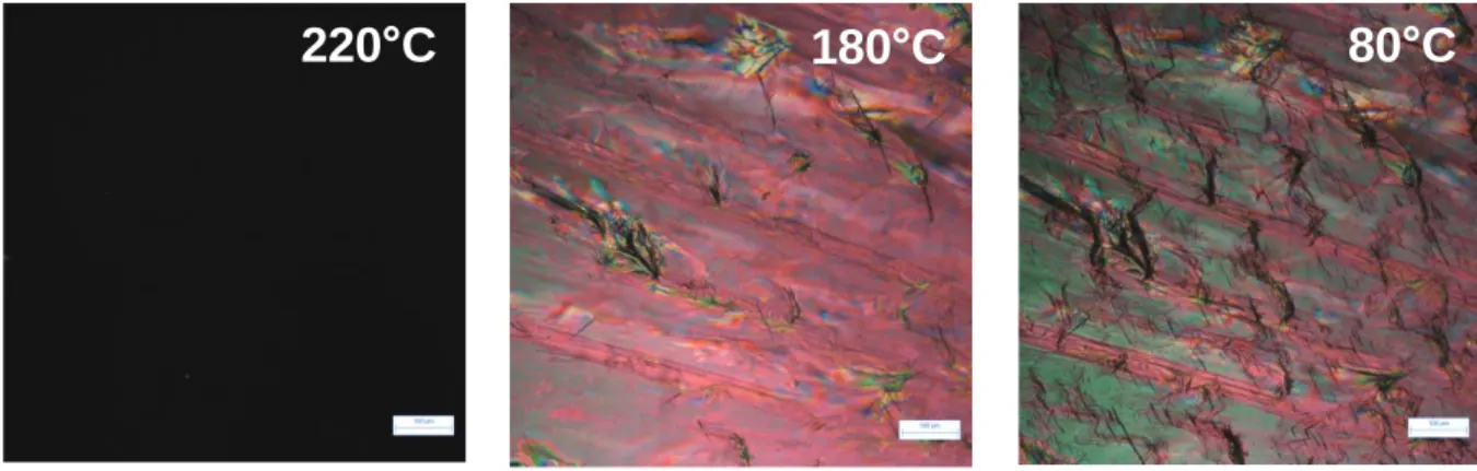 Figure  56.  Microscopie  optique  polarisée  de  C 12 -Thy  à  différentes  températures