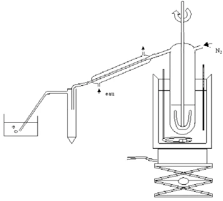 Figure 28  Schéma du montage utilisé pour la polycondensation de polyamides 