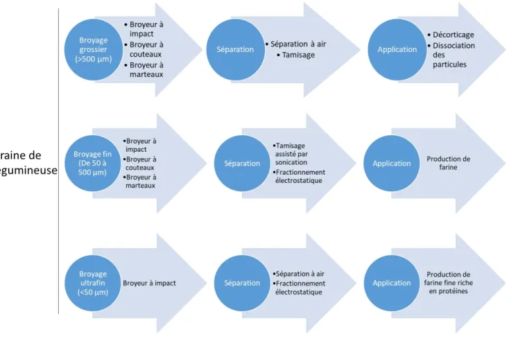 Figure I.11 : Procédés de séparation en voie sèche applicable aux graines de légumineuses en voie sèche et  leurs applications (adapté de Chéreau et al., 2016) 