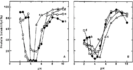 Figure I.12 Courbes de solubilité des globulines de l’arachide en fonction du pH dans de l’eau (A) et dans  une solution saline (NaCl 0,2 mol/L) (B)