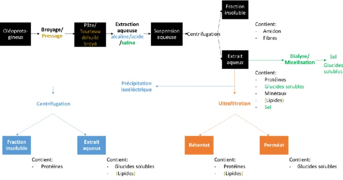 Figure I.15 : Procédé d’extraction en phase aqueuse des protéines d’oléoprotéagineux. D’après Boye et al.,  2010; Chéreau et al., 2016; Morel et al., 2016 