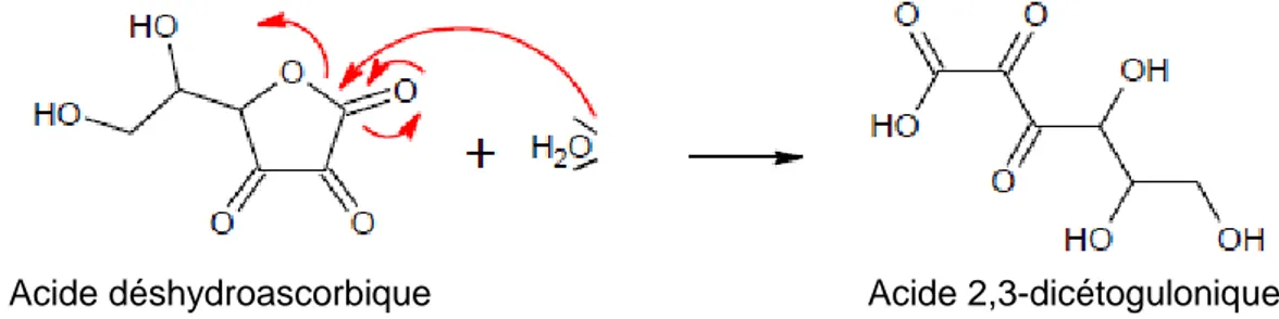 Figure 7. Réaction de dégradation irréversible du DHAA en acide dicétogulonique. 