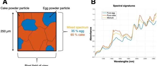 Figure 4: (A) A pixel is represented with several particles in its field of view. (B) The spectra of the pure  ingredients and the mixture are represented
