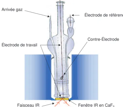 Figure II.5. Cellule spectroélectrochimique utilisée pour les  expérimentations SPAIRS et SNIFTIRS