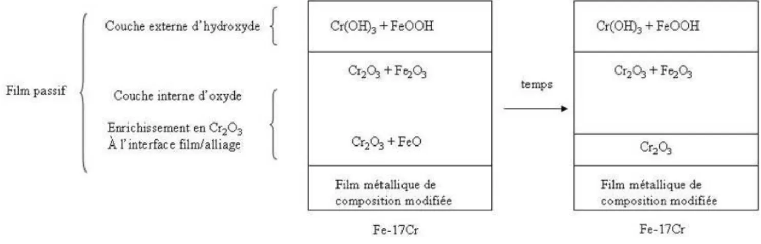 Figure II.1 : Composition du film passif formé sur un alliage Fe-17Cr en milieu 0,5 M H 2 SO 4