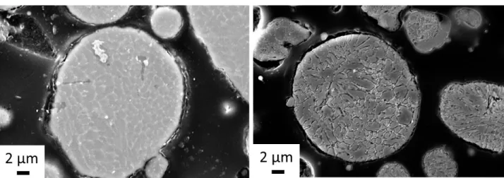 Figure II. 4 : Microstructure des poudres en coupes polie et attaquée au Keller HTC1 et HTC2, images MEB (électrons  secondaires)