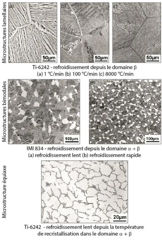 Figure I-4 : Différentes microstructures d’alliages de titane α + β selon les vitesses de  refroidissement et le domaine de traitement [2] 