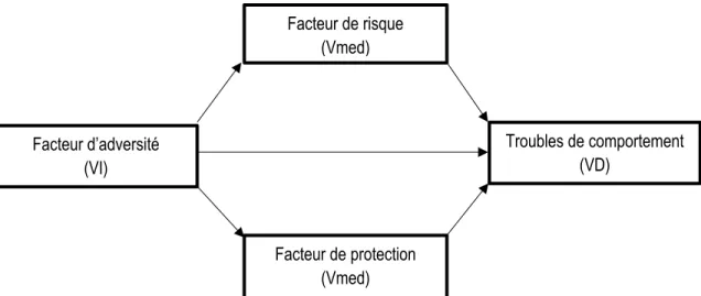 Figure 1. Le modèle explicatif de l'adaptation. 