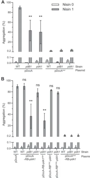 FIG 3 T4P are required for c-di-GMP-dependent aggregation of C. difﬁcile planktonic cells