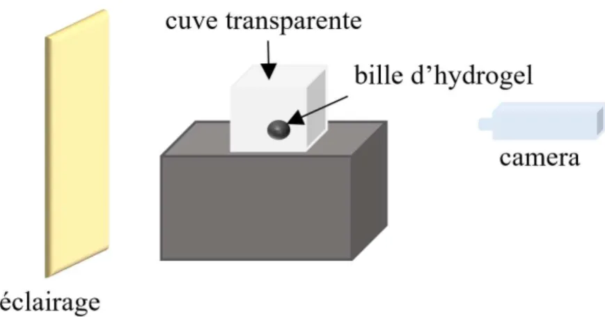 Figure 2.13 – Montage mis en place pour étudier les processus de géliﬁcation et de stabilité d’une bille d’alginate