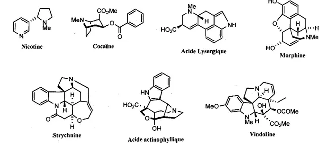Figure 1.1. Exemples representatifs d'alcaloides polycycliques. 