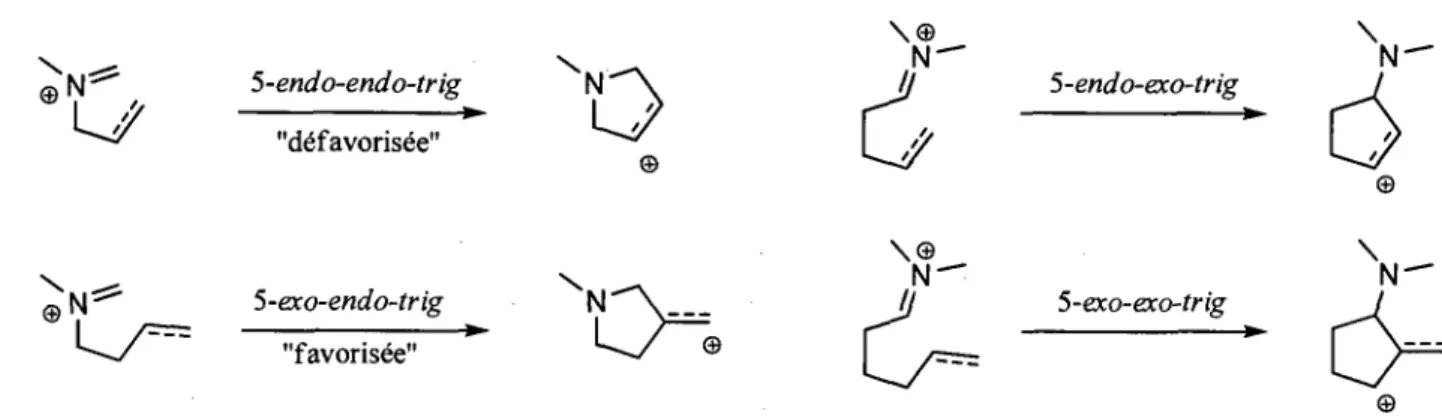 Figure 1.2. Description des modes de cyclisation proposee par Ben-Ishai. 