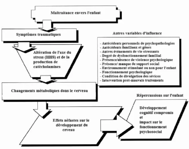 Figure 1.6.  Modèle  d e  la traumatolo g ie  développementale 