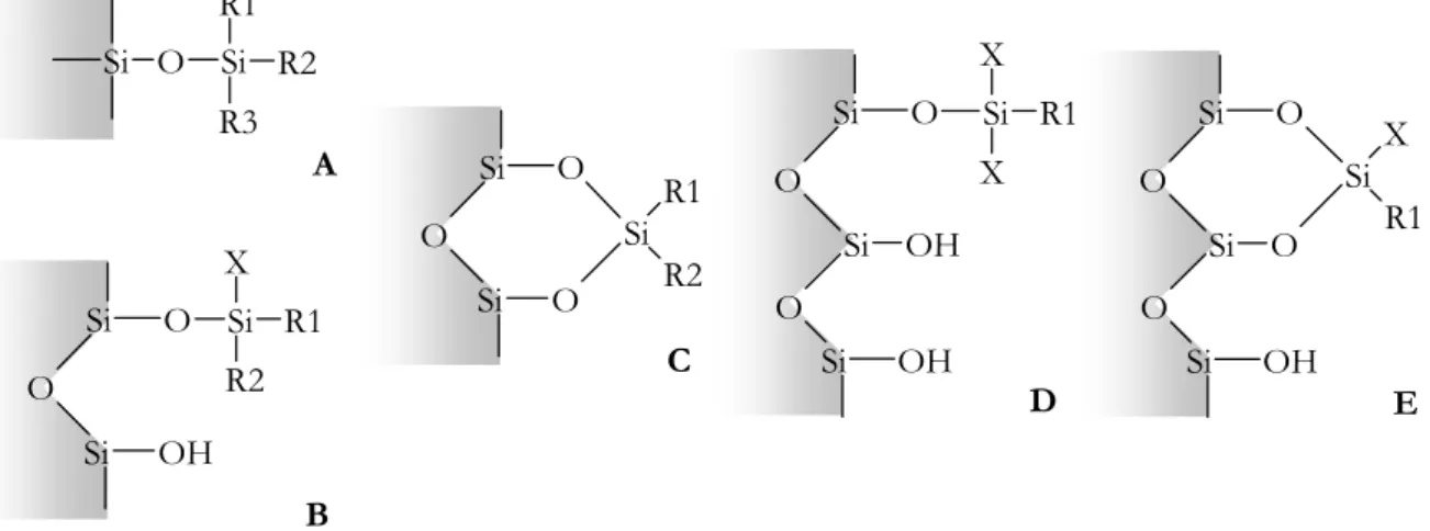 Figure I-14 : Greffage monomérique obtenu, en absence d’eau, par un silane monofonctionnel en A,  difonctionnel en B et C, trifonctionnel en D et E