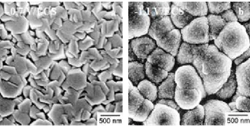 Figure 8 : a) Photographie MEB d’un film électrodéposé de ZnO/EY à - 0,7 V/ECS, b) Photographie MEB d’un 