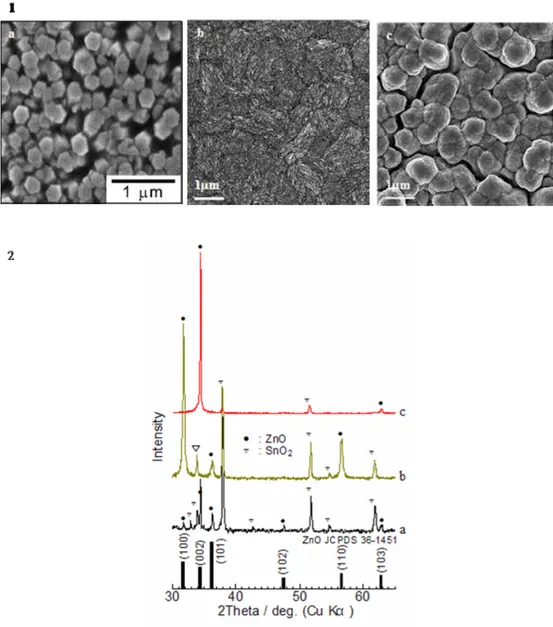 Figure 9 : (1) Photographies M.E.B. de films électrodéposés de ZnO pur (a), ZnO/Coumarine 343 (b) et 