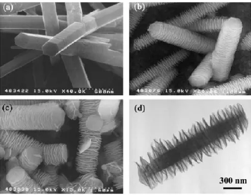 Figure 17 : Photographies MEB de différentes superstructures de ZnO préparées en présence de HMT à 95  °C 